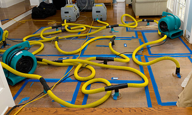 Professional Water Damage Restoration technician working in Romeoville, IL