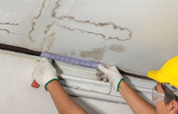 Affordable Water Damage Repair solutions in Romeoville, IL